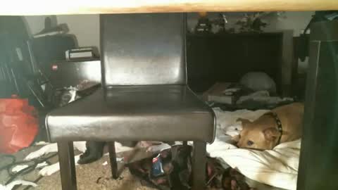 Snapshot of thumperdlj chatting on 10-27-25, 01:15 Thumper online show from 10-27-25, 01:15