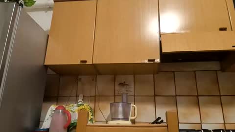 Snapshot of thunderflash73 chatting on 11-10-25, 05:34 Little Wolf online show from 11-10-25, 05:34