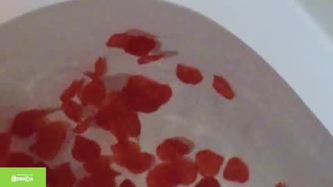 Snapshot of tia_j chatting on 10-12-25, 11:20 tia_j online show from 10-12-25, 11:20