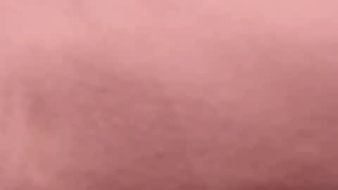 tibustream online show from 04-16-26, 09:50