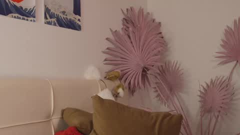 Snapshot of tiffanyjons chatting on 02-28-25, 12:21 tiffanyjons online show from 02-28-25, 12:21