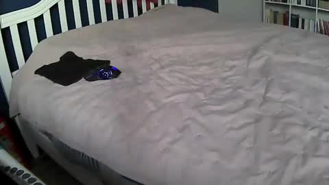 tigerek_i_m online show from 02-11-25, 07:12