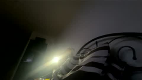 Timmy online show from 05-30-26, 11:57