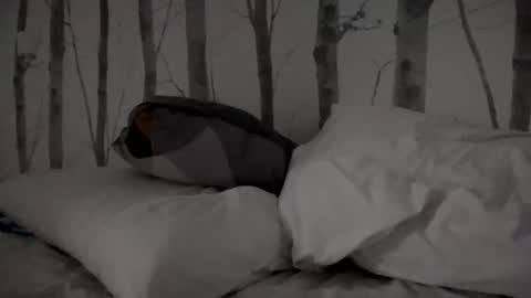 Tim online show from 03-11-25, 08:30