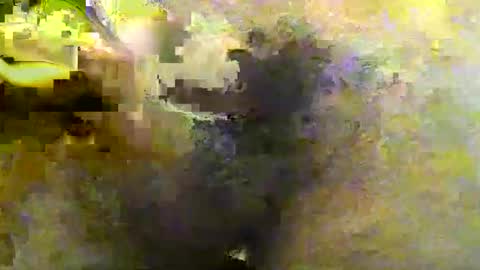 Tirius Barkhan online show from 11-30-25, 06:45