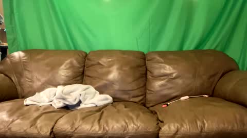 tjfemboi5641 online show from 10-23-25, 10:36