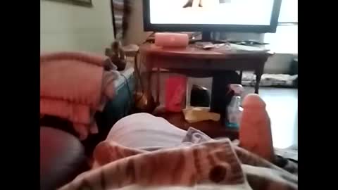 Snapshot of tjllagwbggrr chatting on 01-05-26, 07:28 tjllagwbggrr online show from 01-05-26, 07:28