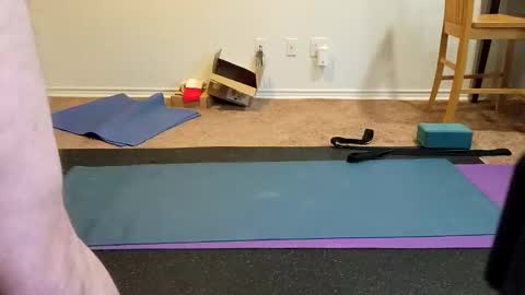 Snapshot of tjstanley1 chatting on 01-13-25, 06:16 Joe online show from 01-13-25, 06:16