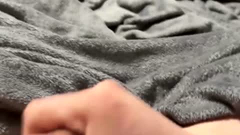 tmue online show from 02-15-26, 02:58