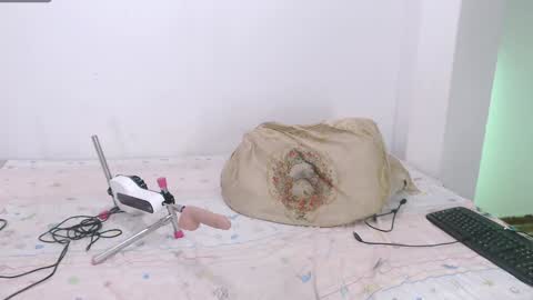 Snapshot of toadboys chatting on 01-19-25, 06:31 David online show from 01-19-25, 06:31