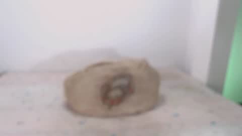 Snapshot of toadboys chatting on 02-07-25, 09:16 David online show from 02-07-25, 09:16