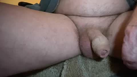 Togbear online show from 02-02-25, 11:42