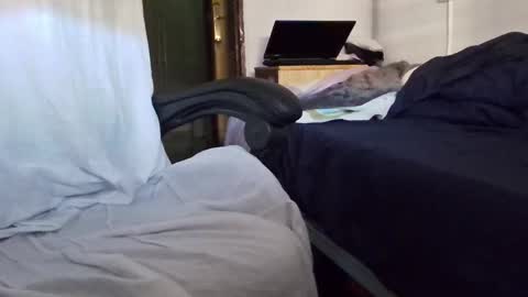 Snapshot of tolon408472 chatting on 11-04-25, 02:38 tolon408472 online show from 11-04-25, 02:38