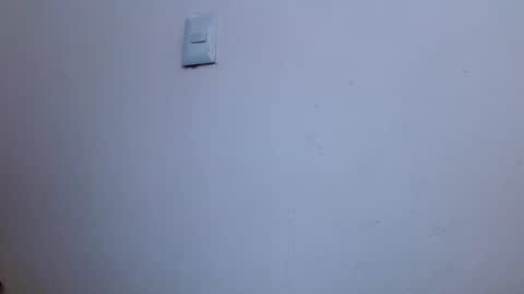 Blue online show from 04-07-26, 06:41