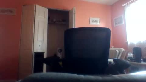 tomcat4848 online show from 04-22-26, 07:48