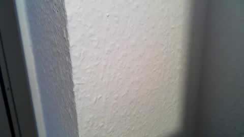 tommy193 online show from 12-26-24, 09:33
