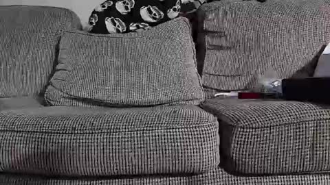 tomnor13 online show from 03-09-26, 05:22