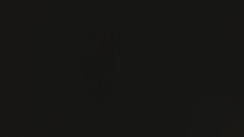 tomylela online show from 12-01-25, 07:46