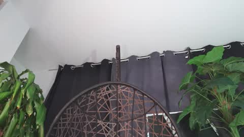 tony online show from 02-12-26, 12:16