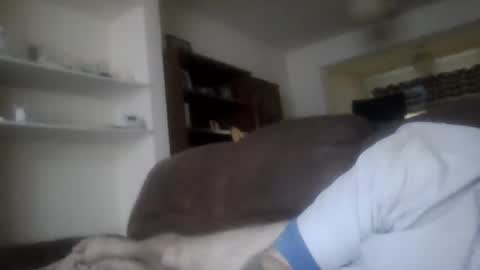 Snapshot of topfoxs30 chatting on 02-25-25, 04:42 topfoxs30 online show from 02-25-25, 04:42