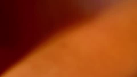 Tori Cross online show from 02-03-25, 11:42