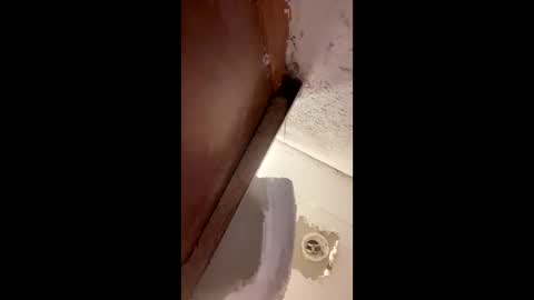 toronto5656 online show from 01-12-25, 04:00