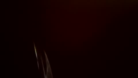 toronto5656 online show from 02-24-25, 11:54