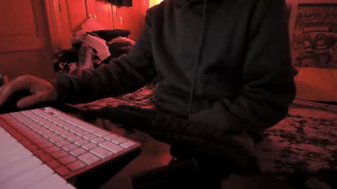 Snapshot of torosko chatting on 11-29-25, 11:52 Torosko online show from 11-29-25, 11:52