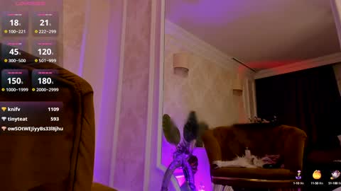 torri kitten online show from 12-29-24, 08:33