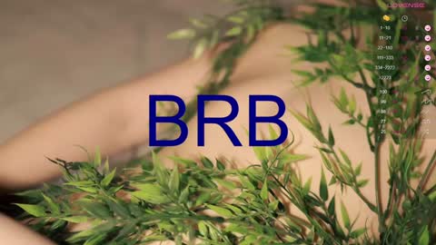 Toshi online show from 01-27-25, 04:11