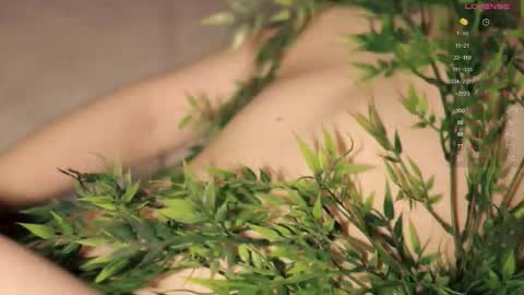 Toshi online show from 10-19-25, 01:01