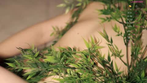 Toshi online show from 11-03-25, 01:01