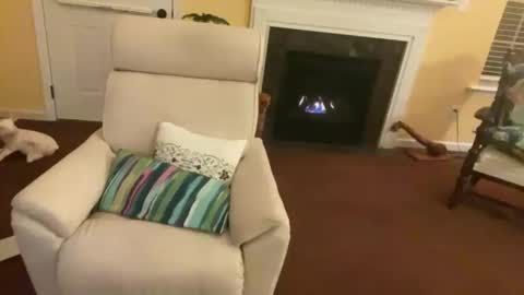 Snapshot of trannytush69 chatting on 01-11-25, 03:55 USA GURL online show from 01-11-25, 03:55