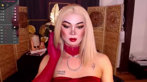 transsitips online show from 04-26-26, 11:57