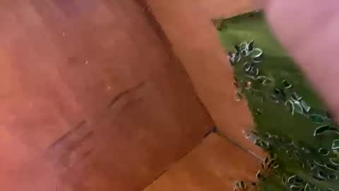 trebz_01 online show from 11-17-25, 07:58