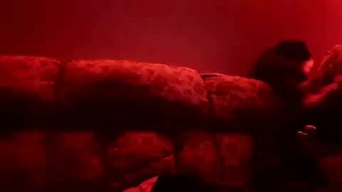 tretrix5588 online show from 01-03-25, 10:09