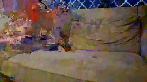 Snapshot of trex23rd chatting on 12-02-25, 09:54 trex23rd online show from 12-02-25, 09:54