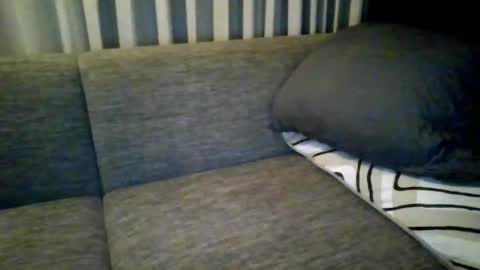 triciawu22 online show from 12-08-24, 01:36