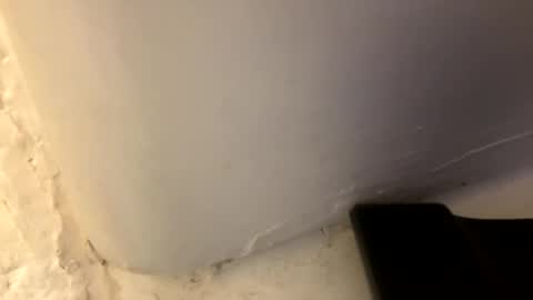 trickydick6 online show from 04-26-26, 03:42