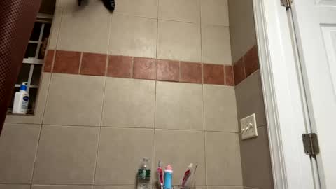 WapBopper online show from 02-11-25, 12:06