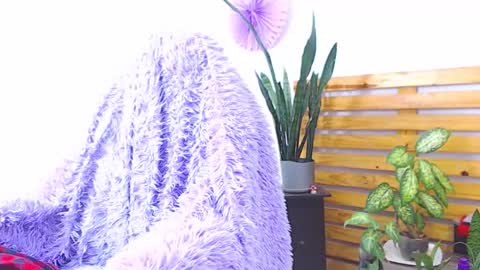 Trix online show from 02-01-26, 06:34