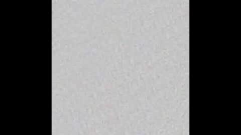 Snapshot of tropicalmadness chatting on 02-19-25, 05:49 Archie Torres online show from 02-19-25, 05:49