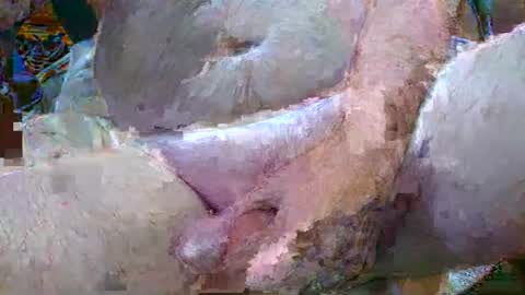 troy1965 online show from 01-06-25, 04:47