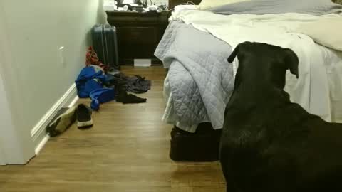 troy1965 online show from 09-29-25, 04:39