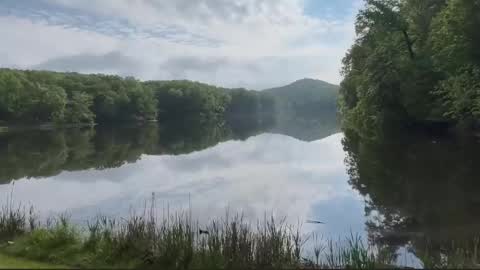 Treistoph online show from 02-21-26, 01:56