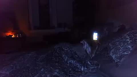 Amber White online show from 10-29-25, 03:20