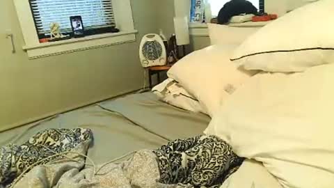 Snapshot of tsamberwhite007 chatting on 02-01-26, 02:37 Amber White online show from 02-01-26, 02:37