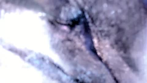 Snapshot of tshotfuckingyanzxx chatting on 02-12-25, 03:18 Stella Hanlon - - online show from 02-12-25, 03:18