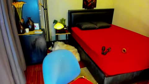 Kylee-  will make your  day  online show from 05-13-26, 06:11