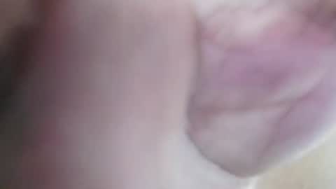 Snapshot of tuistwer chatting on 06-01-26, 05:53 Tuistwer online show from 06-01-26, 05:53